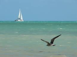Amarres bateau pleine mer