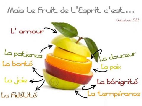 Le fruit de l esprit